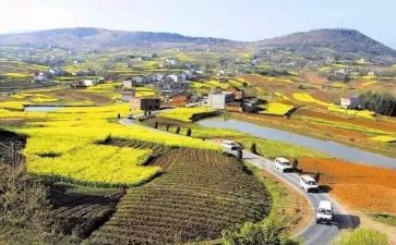 大学生乡村振兴心得体会范文5篇