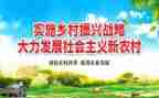 乡村振兴1年工作计划7篇