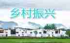 乡村振兴的调研报告范文6篇
