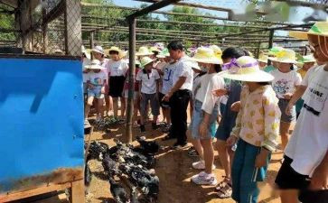 镇职业病防治工作总结优质5篇