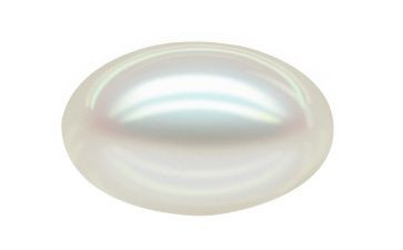 珍珠与蚌读后感精选6篇