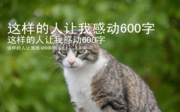 这样的人让我深爱作文5篇