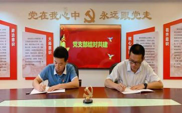 对党支部活动方案7篇