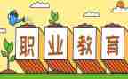 新入职教师教学心得8篇