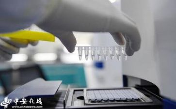 2024质量演讲稿推荐5篇