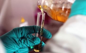 年度质量总结报告5篇