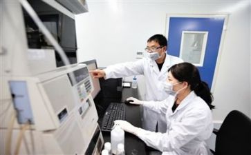 个人质量工作计划8篇