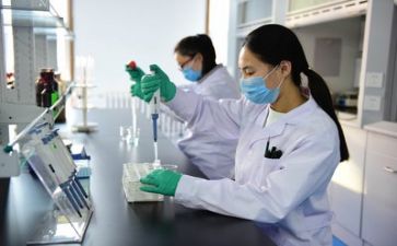质量活动方案最新6篇