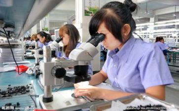 质量室工作总结最新5篇