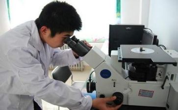 质量员的工作计划精选5篇