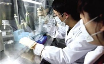 质量部的工作计划5篇