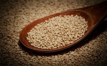 小芝麻的读后感5篇