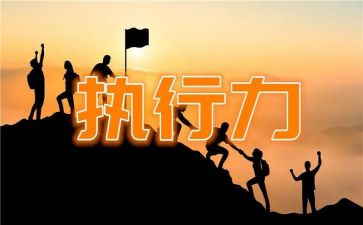 执行心得体会最新6篇