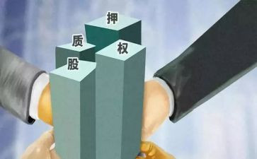 最高额股权质押合同5篇