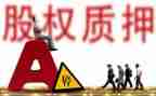 质押合同7篇