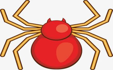 《蜘蛛》作文优质5篇