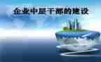 2023中层干部述职述廉报告8篇