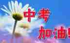 中考的心得体会模板7篇