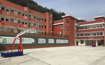 中心校卫生工作计划优秀5篇