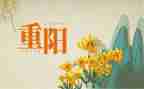 重阳节作文300字5篇