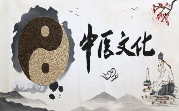 中医个人年度总结参考5篇