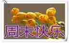 周末的安全演讲稿7篇
