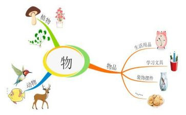 状物作文400字精选5篇