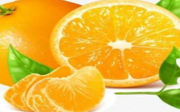 状物作文400字优秀7篇