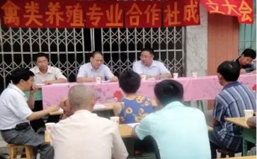 专合社成立领导讲话稿7篇