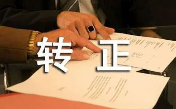 公司转正自我鉴定优质5篇