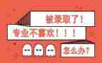 转专业个人简历模板最新7篇