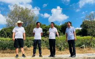个人驻村工作总结优质5篇