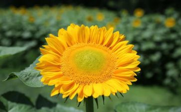 人生追求作文6篇