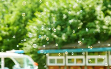 追求成功作文5篇