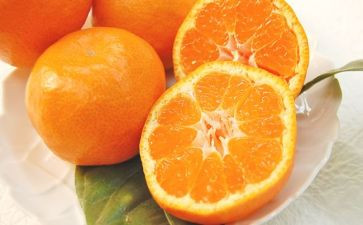 橘子灯作文模板7篇