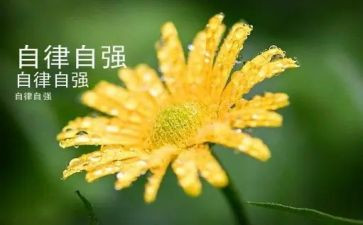 少年当自强事迹精选8篇