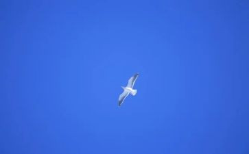 自由论的读后感参考5篇