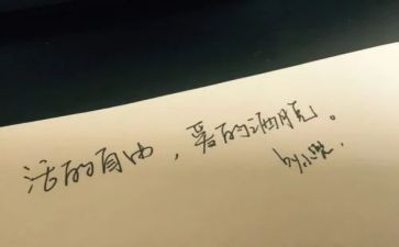 爱和自由孙瑞雪读后感7篇