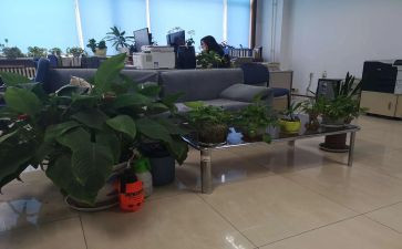 综合部年度总结7篇