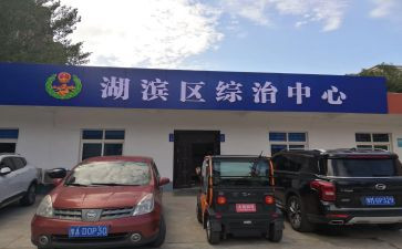 综治工作上半年工作总结7篇