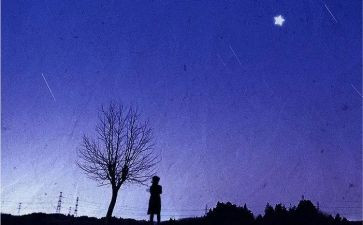 最亮的星作文800字7篇
