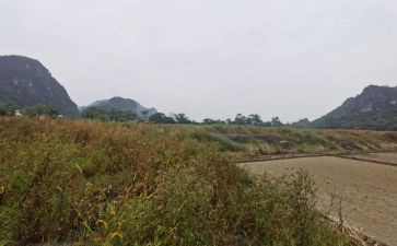 最新个人房屋租赁合同模板5篇