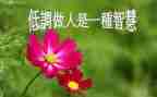 做人的方与圆演讲稿7篇
